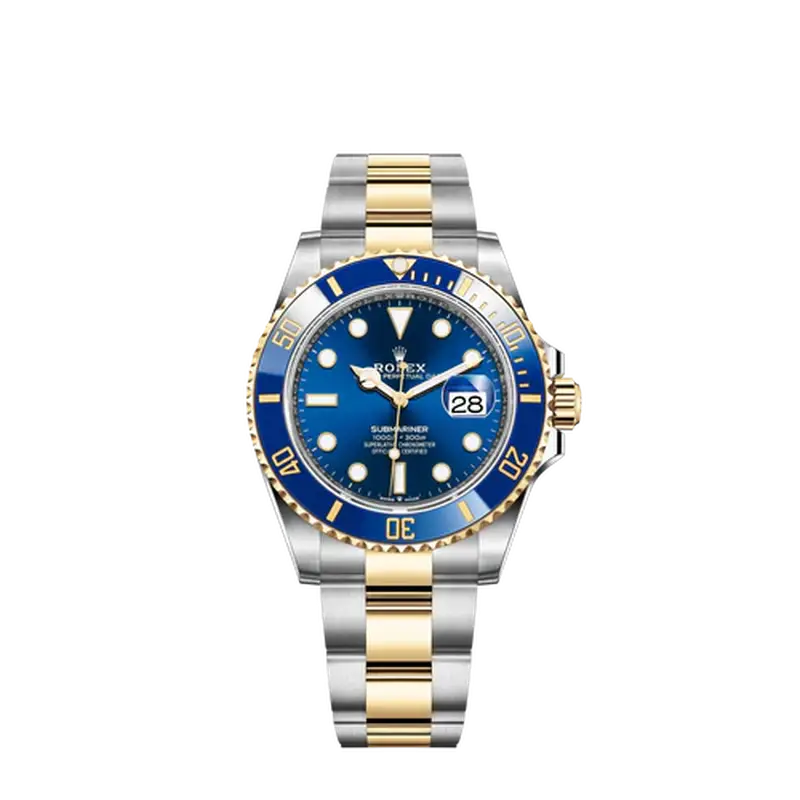 Oyster 41mm oystersteel hot sale and white gold price